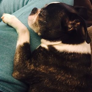 Meet your Posher, Nikki